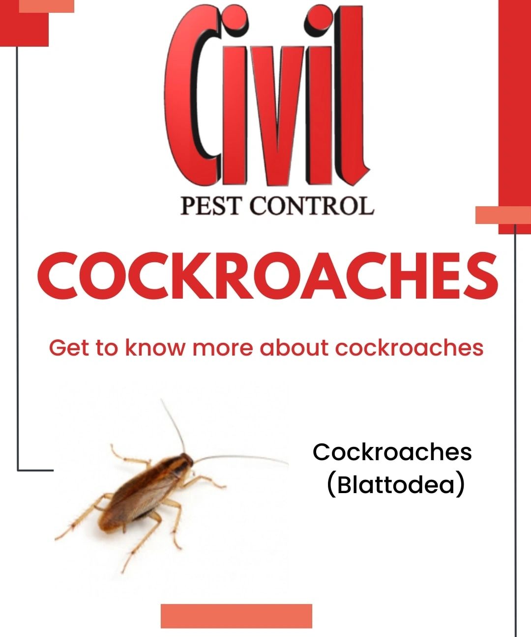 Cockroaches pest info card