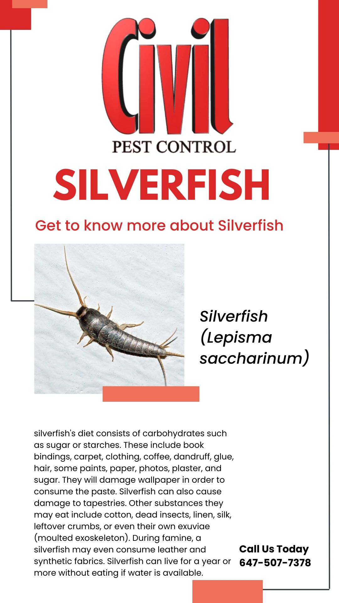Silverfish pest info card